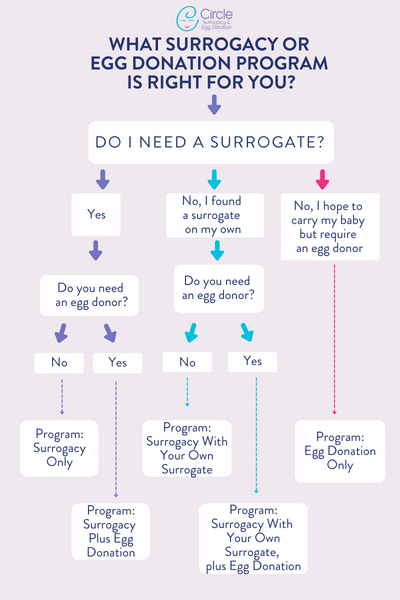 What Surrogacy or Egg Donation program is right for you chart