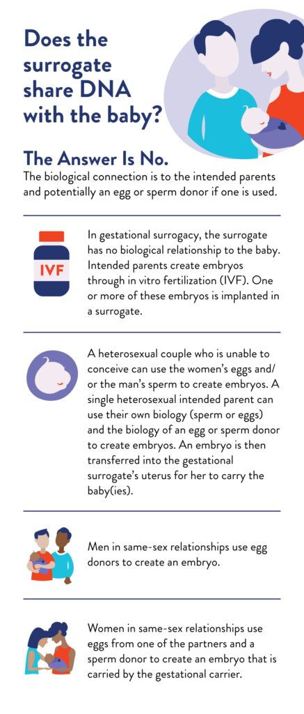 Does the surrogate share DNA with the baby? (infographic)