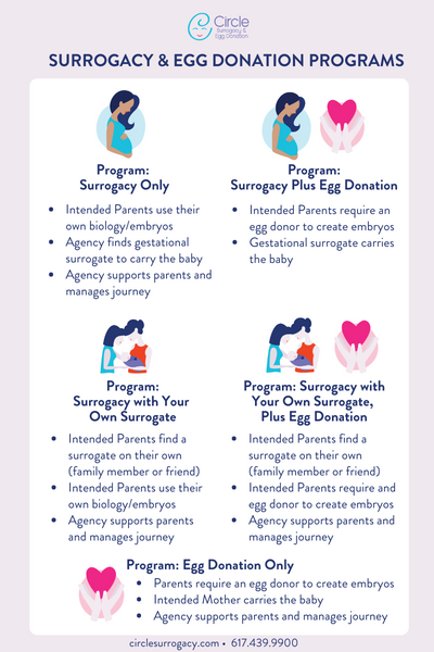How to choose a surrogacy and egg donation program chart