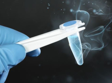 What Do I Do With My Embryos?