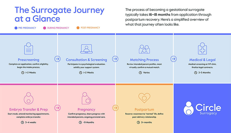 Surrogate Journey Infographic
