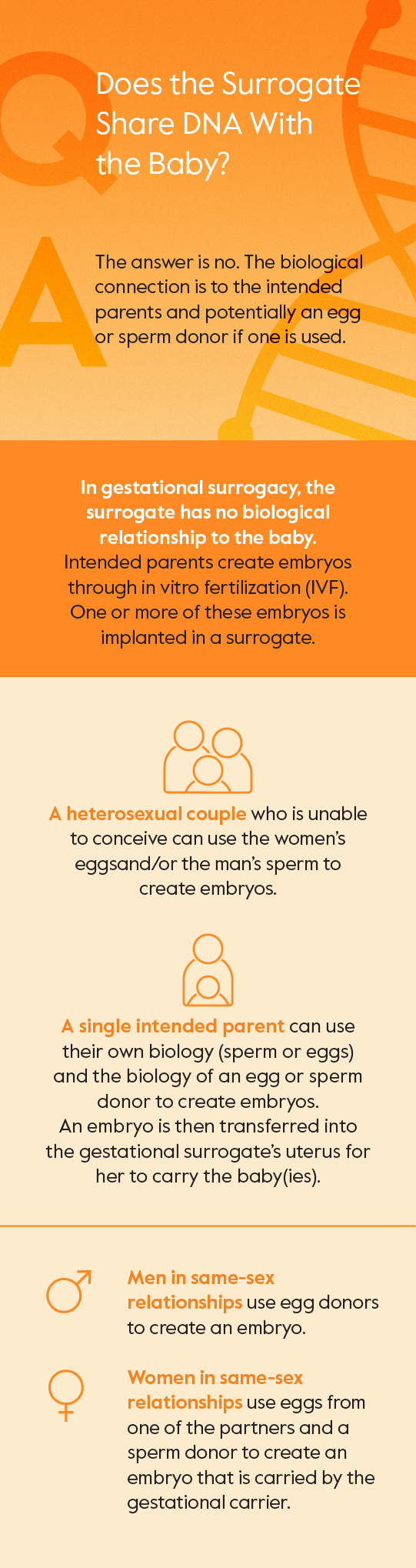 Does the surrogate share DNA with the baby? (infographic)